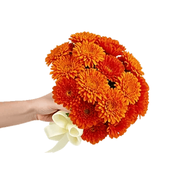 Vibrant Orange Delight