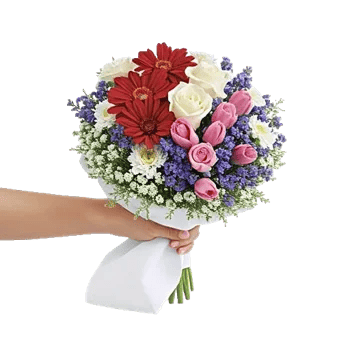 Blossom Petal Serenity