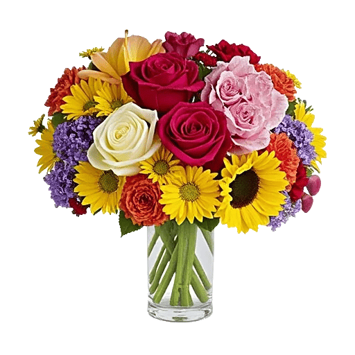 Petal Radiance Bliss