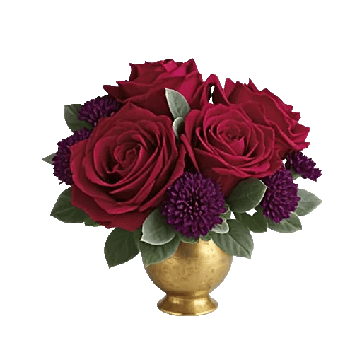 Crimson Rose Elegance