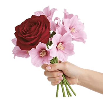 Crimson Rose Elegance