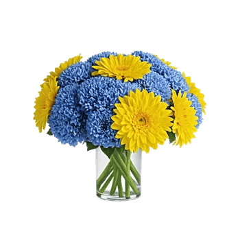 Sapphire Bloom Whisper