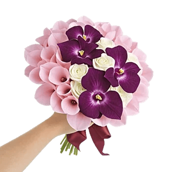 Elegant Calla Lilies