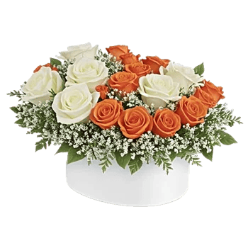 Ivory Blossom Radiance