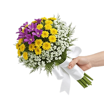 Blossom Petal Serenity