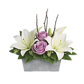 Graceful Lily Display