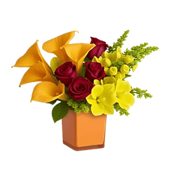 Elegant Calla Lilies