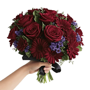 Crimson Rose Elegance