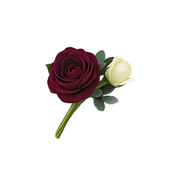 Delicate Petal Cascade