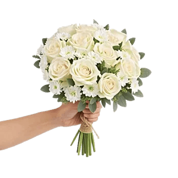 Ivory Garden Grace