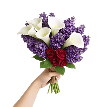 Elegant Calla Lilies