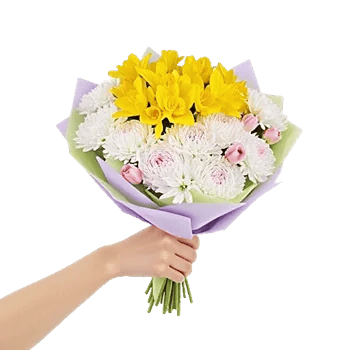 Blossom Harmony Display