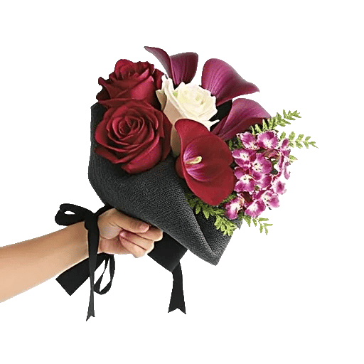Crimson Rose Elegance