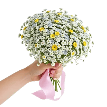 Blossom Radiant Whisper