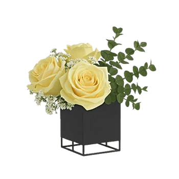 Delicate Petal Cascade