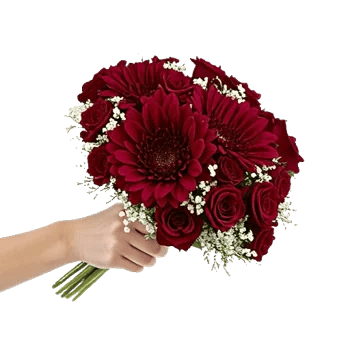 Crimson Blossom Harmony