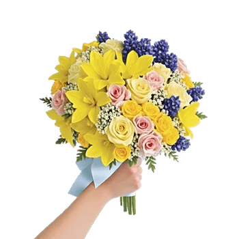 Blossom Harmony Display