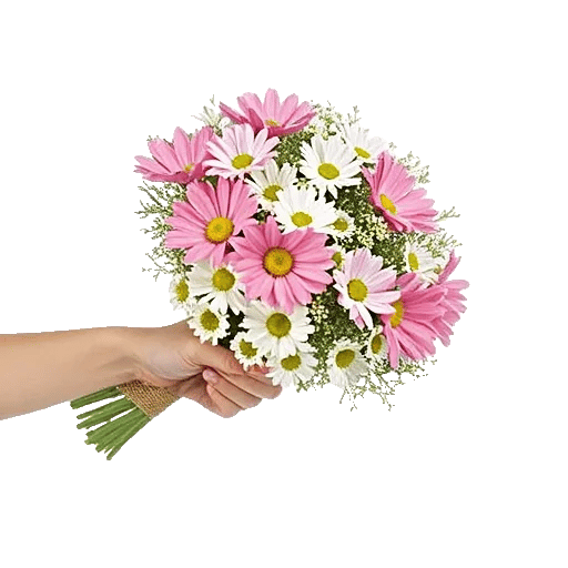 Fresh Meadow Blooms