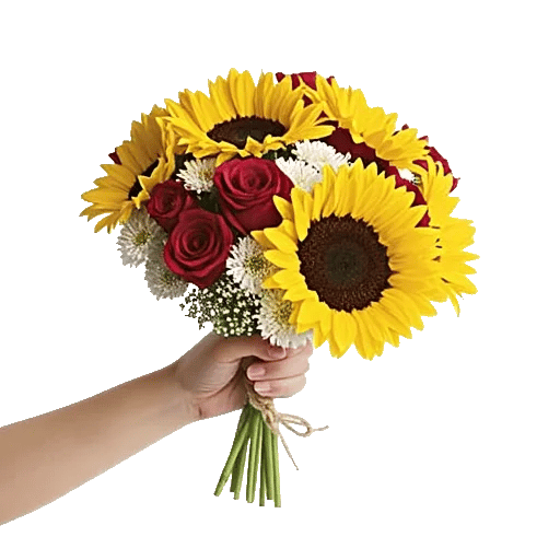 Twinkling Sunflower Dance