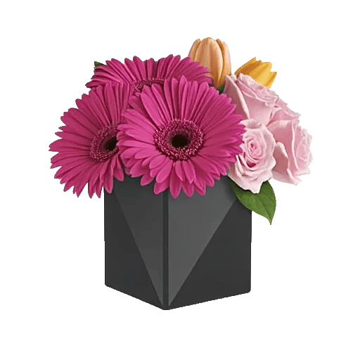 Petal Radiance Bliss