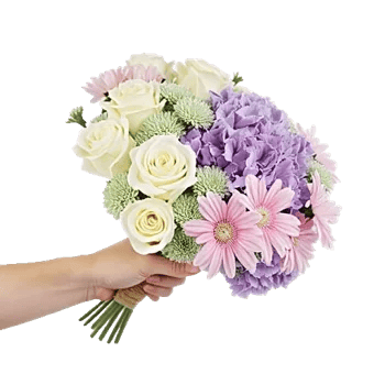 Serene Petal Harmony