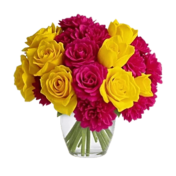 Petal Radiance Bliss