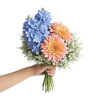 Blossom Petal Serenity