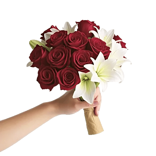 Crimson Rose Elegance