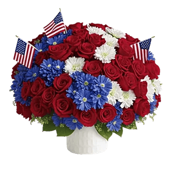 Crimson Rose Elegance