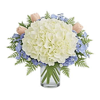 Sapphire Bloom Whisper