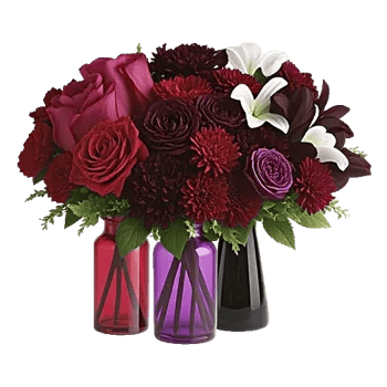 Crimson Blossom Harmony