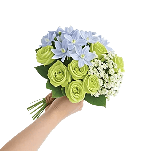 Blossom Petal Serenity