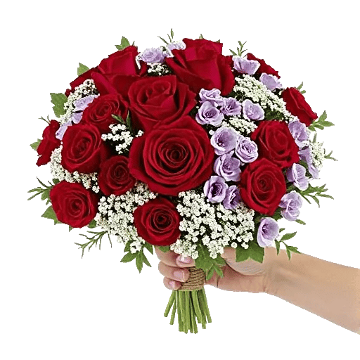 Crimson Rose Elegance