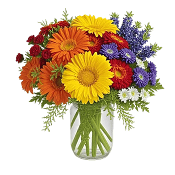 Petal Radiance Bliss