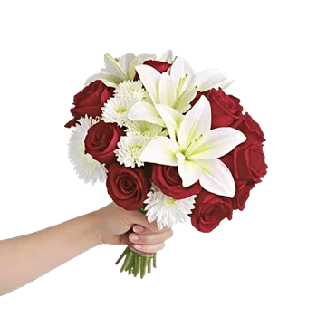 Crimson Rose Elegance