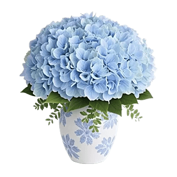 Sapphire Bloom Whisper