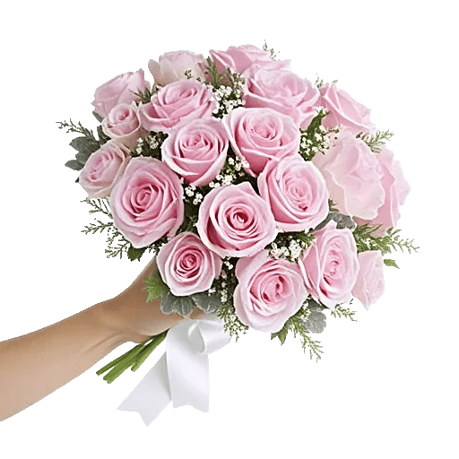 Pastel Pink Roses