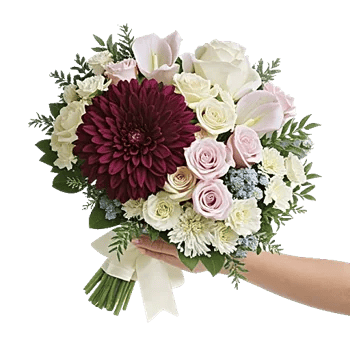 Silken Petal Array