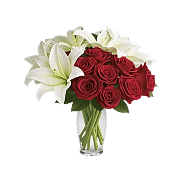 Crimson Rose Elegance