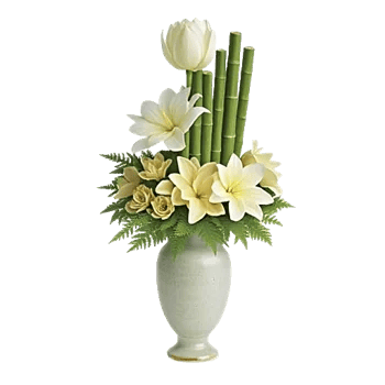 Serenity Orchid Bloom