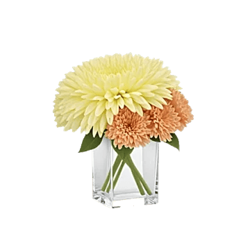 Delicate Petal Cascade