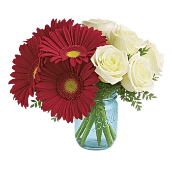 Petal Radiance Bliss