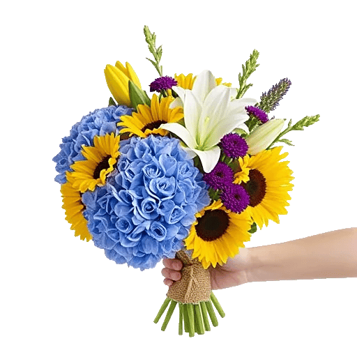 Blossom Harmony Display