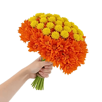 Petal Harmony Bliss