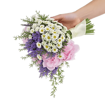 Delicate Petal Cascade