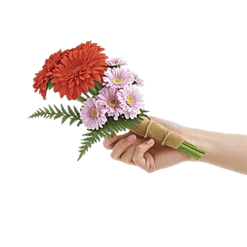 Petal Harmony Bliss