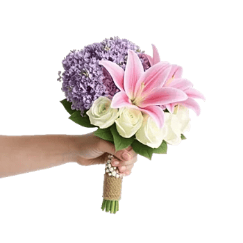 Blushing Rose Symphony