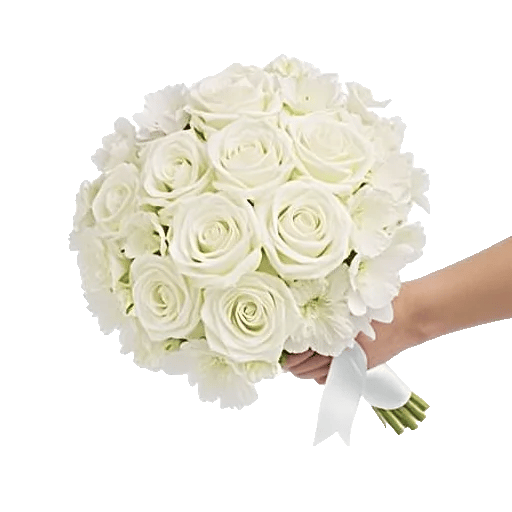Petal Grace Harmony