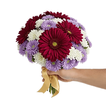 Crimson Blossom Harmony