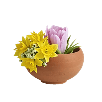 Crisp Spring Blooms